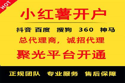 揭秘百度竞价代理：实战案例分析